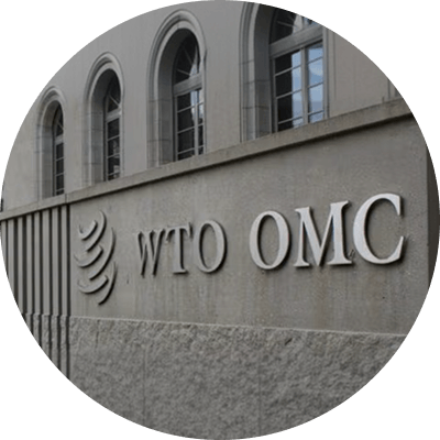 WTO Matters Series